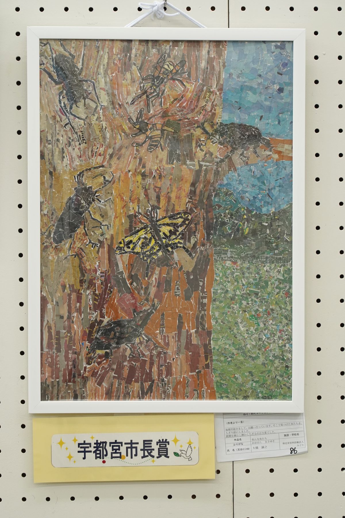 色んな虫たち(大橋 誠之)