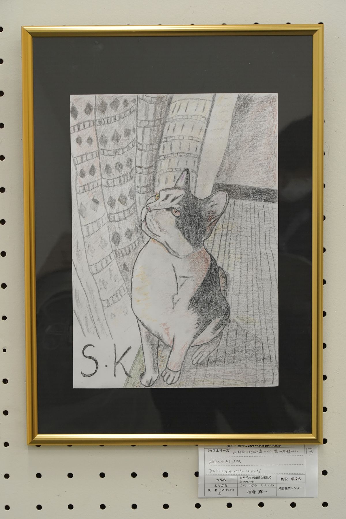 まどきわで綺麗な花見るネコのハナ(柏倉 真一)